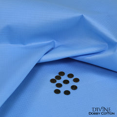 DIVINE